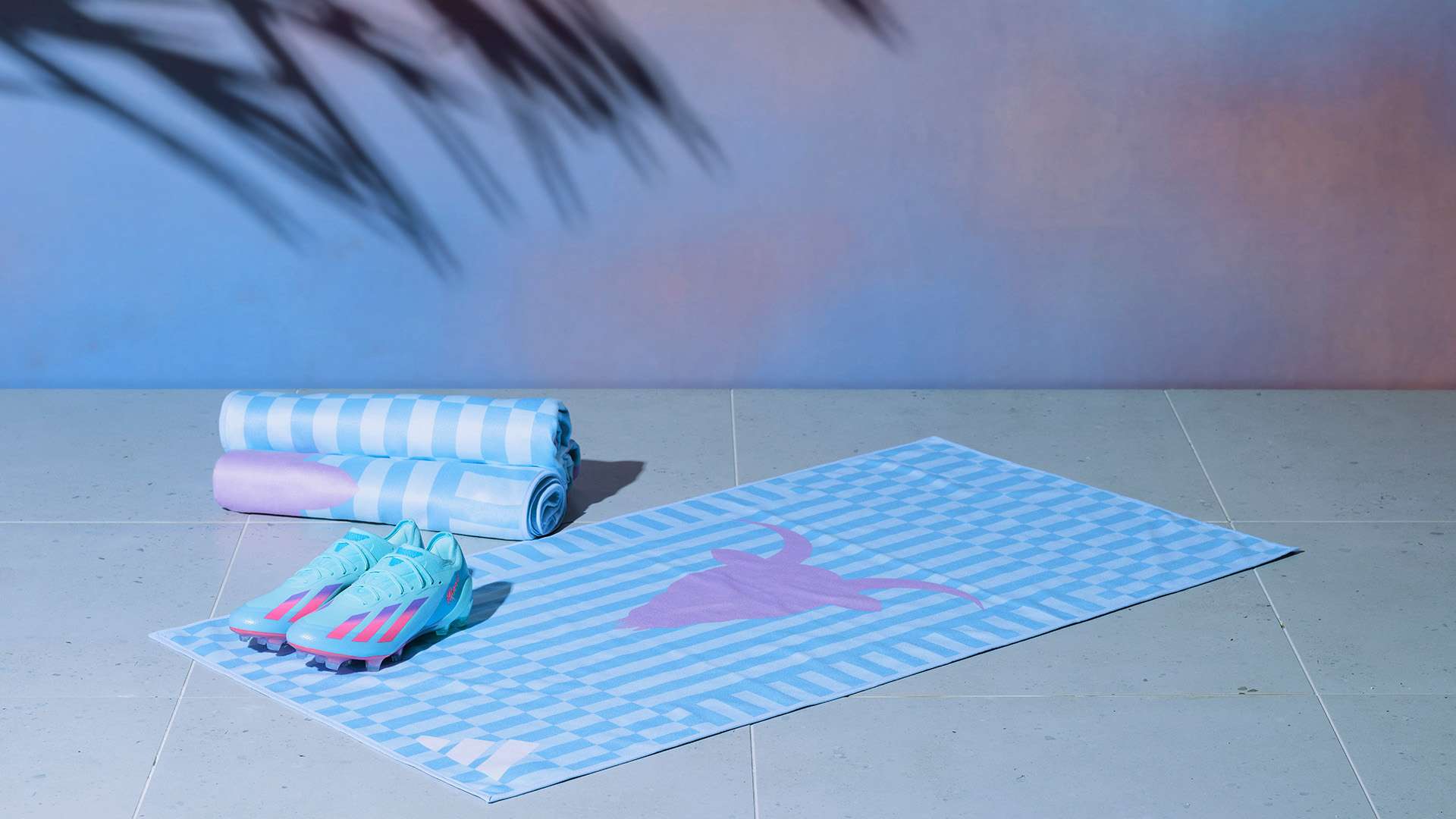 常常会引发 常常会引发